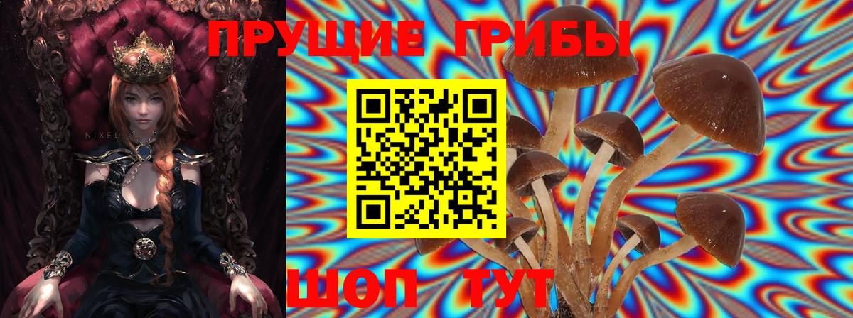 Рассказово  Псилоцибиновые грибы MAGIC MUSHROOMS  Вход с VPN 